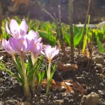 Опубликована погода на 6 апреля в Рязанской области