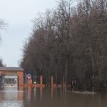 Рязанцев просят воздержаться от посещения Лесопарка