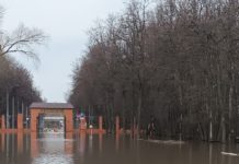 Рязанцев просят воздержаться от посещения Лесопарка