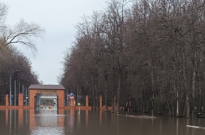 половодье Лесопарк Фото Ильи Трокова