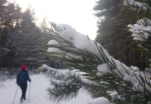 Курение и ЗОЖ: почему они несовместимы и как сделать первый шаг