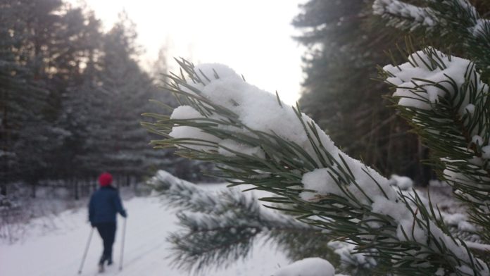 ходьба Фото Ивановой