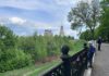 Первый участок набережной Оки в Рязани могут построить уже в следующем году