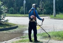 В Рязани начали окашивать траву