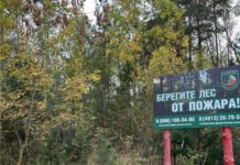 В Рязанской области сохранится 4 класс пожарной опасности