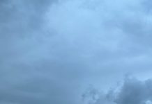 Кратковременные дожди и местами туман ожидаются завтра в Рязанской области