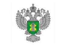 В Рыбновском округе на землях сельскохозяйственного назначения обнаружили паллеты с фруктами и овощами