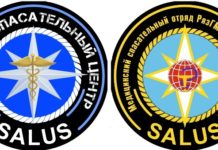 Рязанские волонтеры спасли собаку Алю, которая 10 дней провела без еды и воды в доме, поврежденном БПЛА