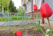 На завтра синоптики прогнозируют в Рязанской области теплую и влажную погоду