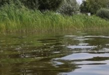 В Рязани очистили от мусора берег реки Трубеж