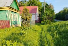 Завтра в Рязанской области будет по-летнему знойная погода