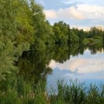 Завтра в Рязанской области воздух прогреется до +25°С