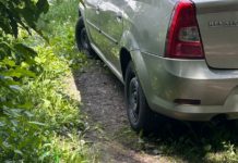 Рязанцы, паркующие автомобили на зеленых зонах, продолжают получать штрафы