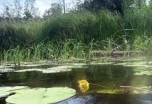Жителям Рязанской области напомнили правила безопасности на водоемах