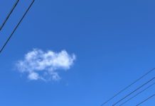 В Рязани зафиксировали выбросы сероводорода, озона и диоксида азота