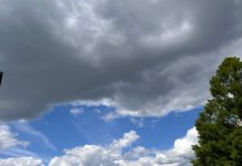 В Рязани зафиксировали превышение диоксида азота и сероводорода в воздухе