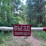 В Рязанской области начали действовать ограничения на посещение лесов
