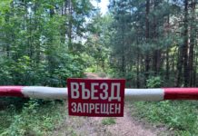 В Рязанской области начали действовать ограничения на посещение лесов