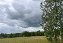 В Рязанской области завтра может пройти дождь