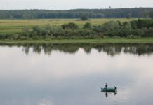 Всероссийская акция «Дни защиты от экологической опасности» проходит в Рязанской области