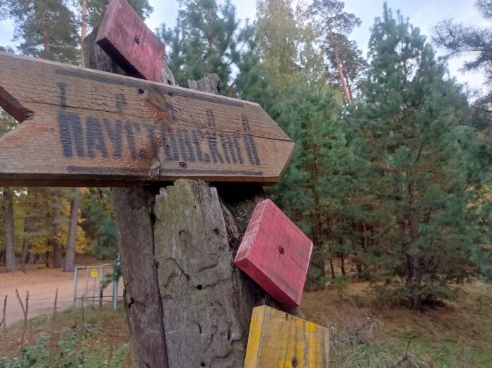 Солотча_Тропа Паустовского