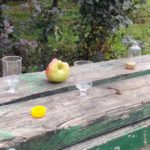 Подростковый алкоголизм: как спасти своего ребенка от иллюзий