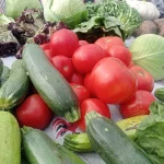 В Рязани на ярмарках выходного дня продали 1,2 тонны овощей