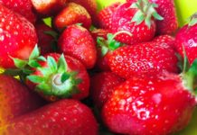 На ярмарках выходного дня в Рязани продали тонну ягод